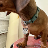 Custom Pet tag