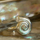 Mollusca ring