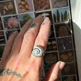 Mollusca ring